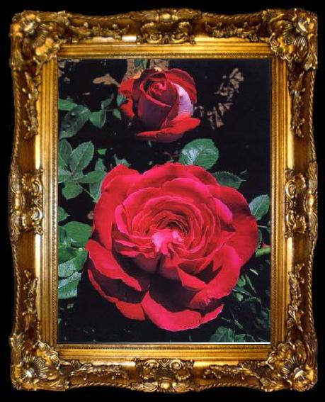 framed  unknow artist Still life floral, all kinds of reality flowers oil painting  151, ta009-2